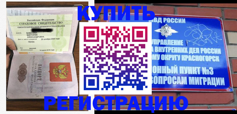 найти адрес прописки в Купино